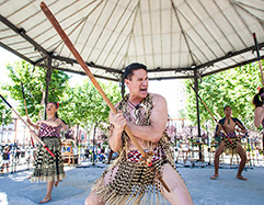 Te Ara Hou Integrated Programme