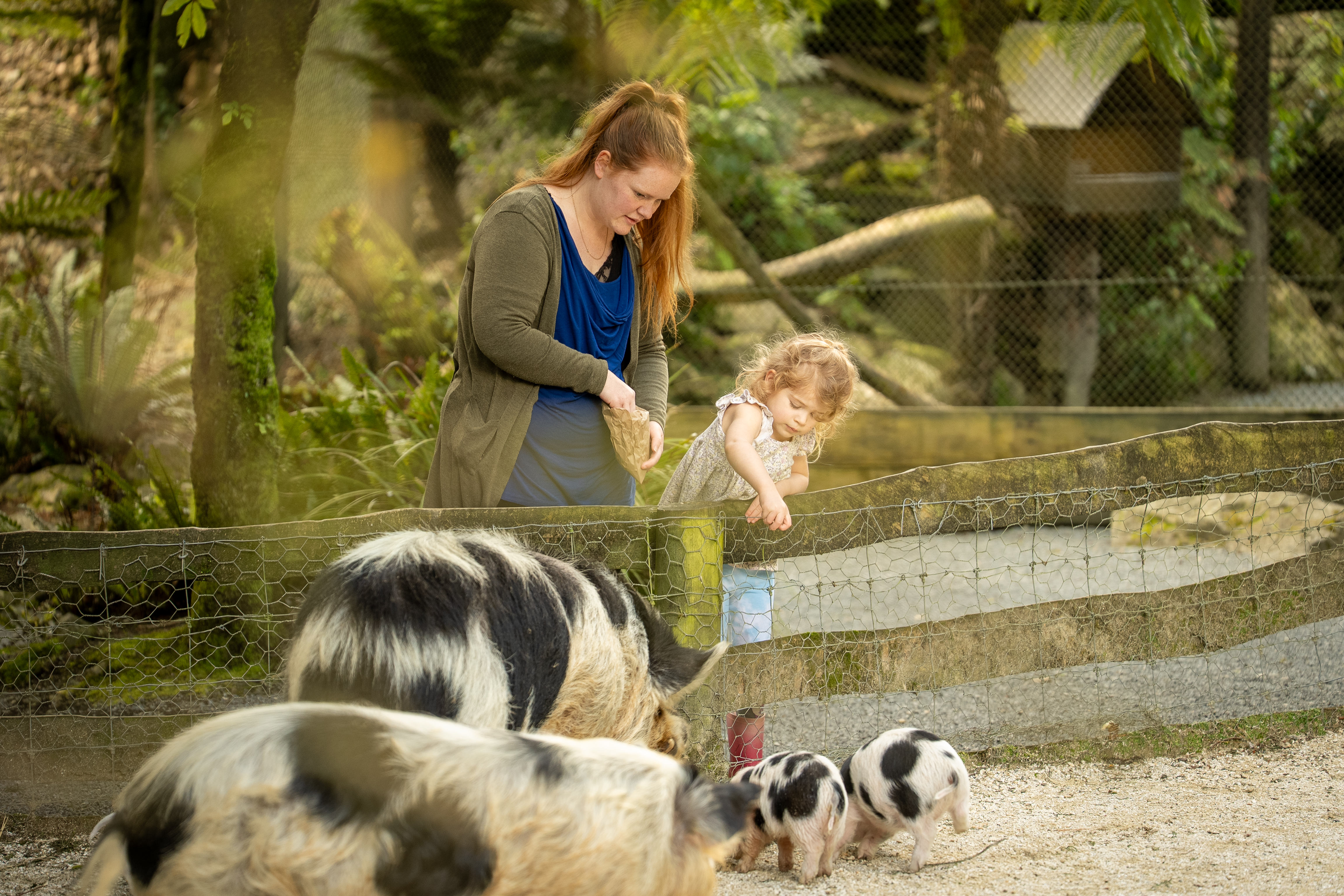 Te Kura 2025-117.jpg